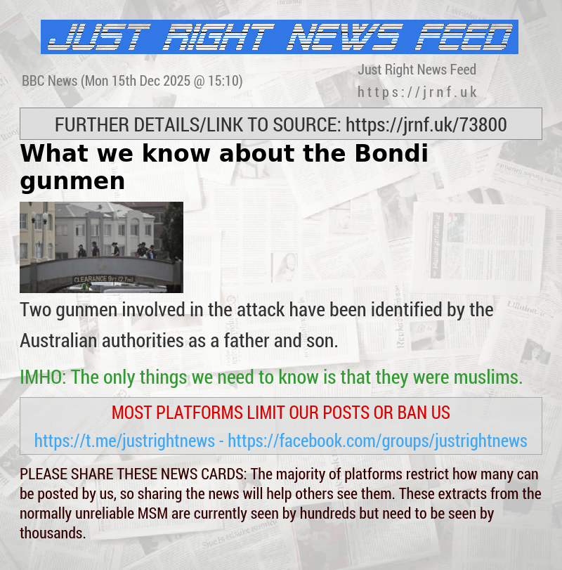 What we know about the Bondi gunmen