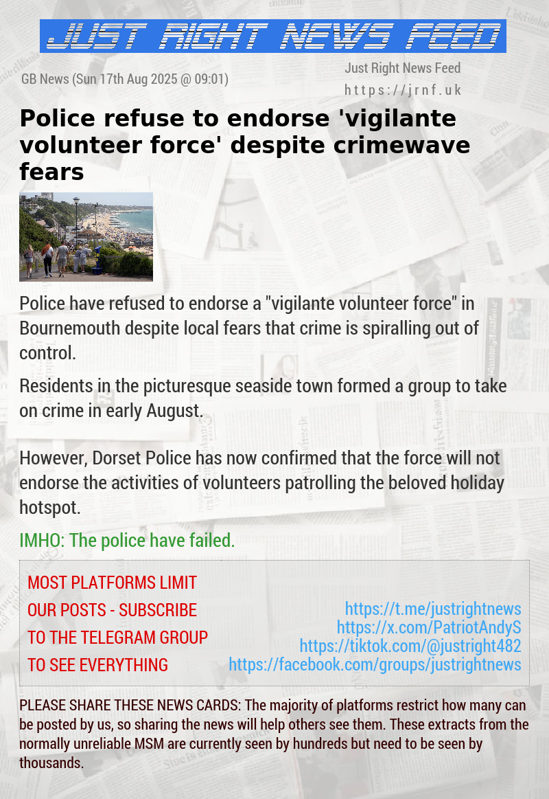 Police refuse to endorse ’vigilante volunteer force’ despite crimewave fears