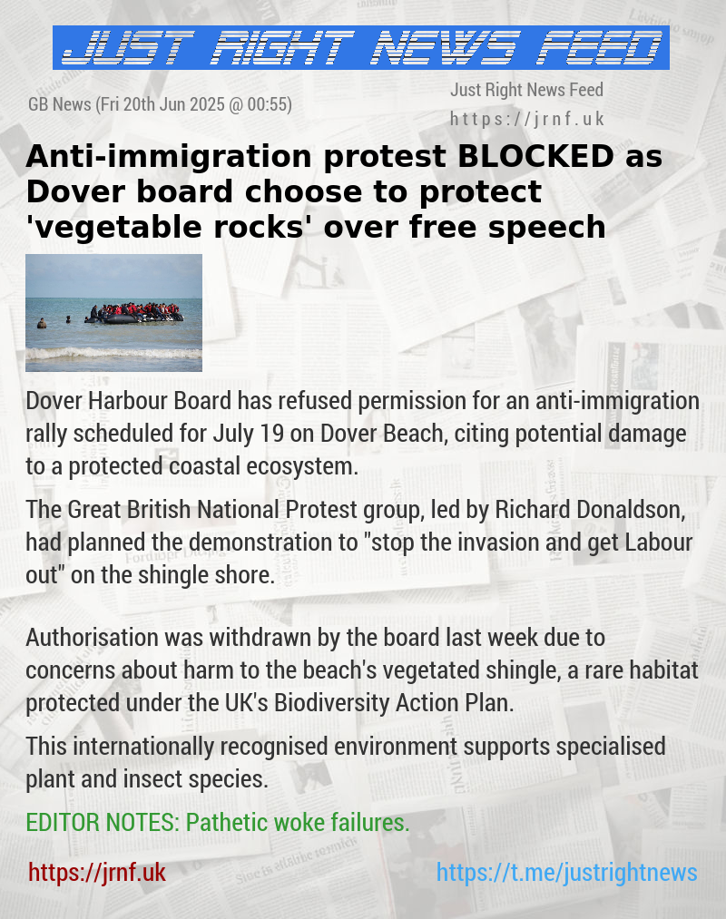 Anti—immigration protest BLOCKED as Dover board choose to protect ’vegetable rocks’ over free speech