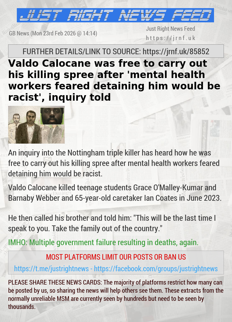 Valdo Calocane was free to carry out his killing spree after ’mental health workers feared detaining him would be racist’, inquiry told