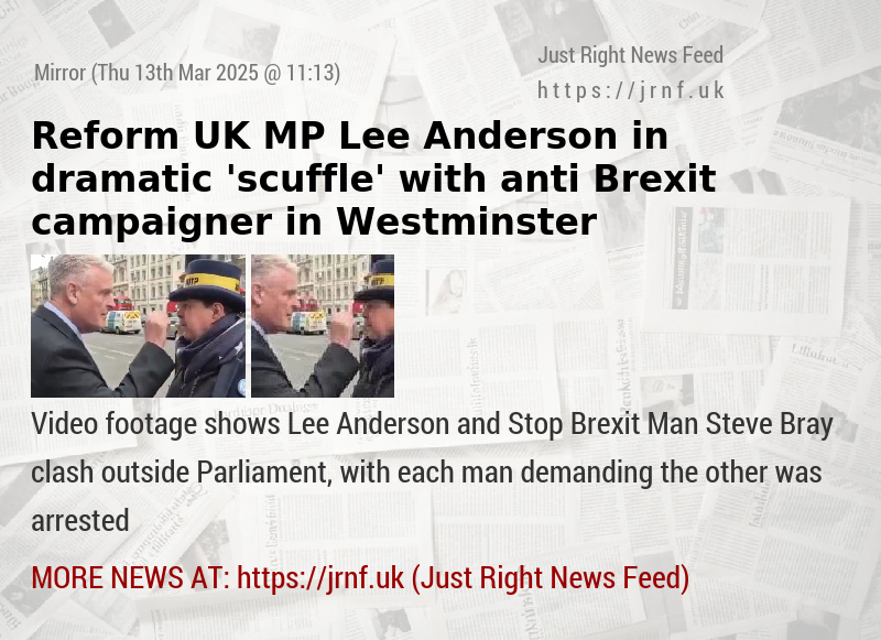 Reform UK MP Lee Anderson in dramatic ’scuffle’ with anti—Brexit campaigner in Westminster