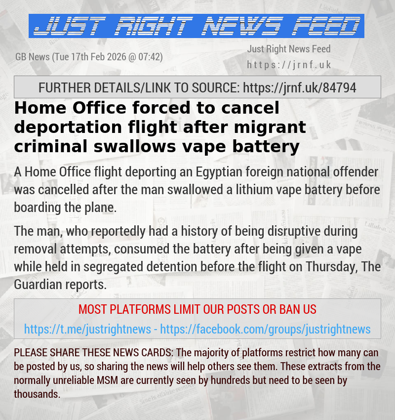Home Office forced to cancel deportation flight after migrant criminal swallows vape battery