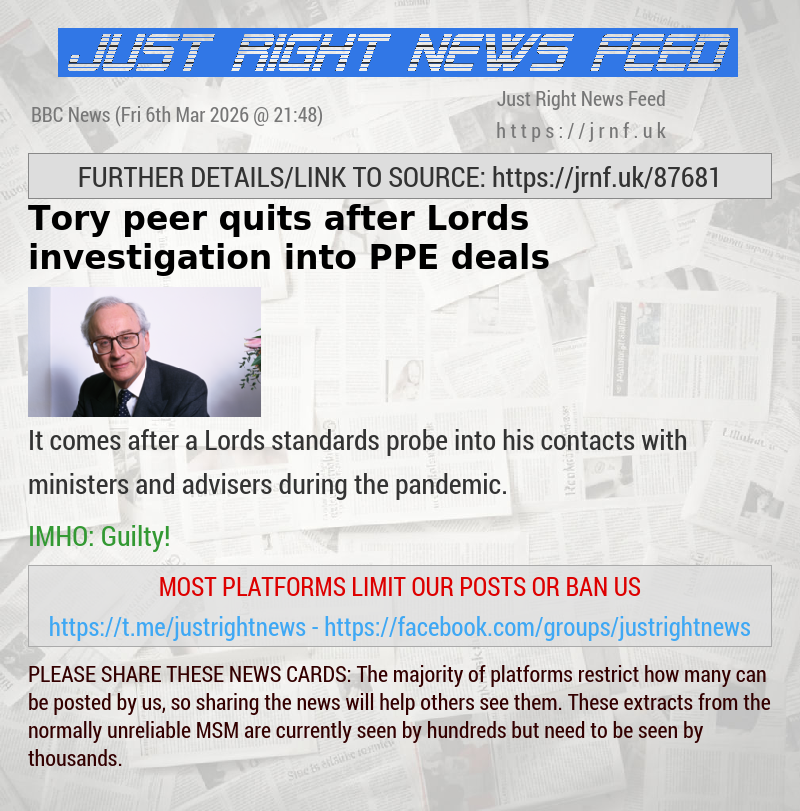Tory peer quits after Lords investigation into PPE deals