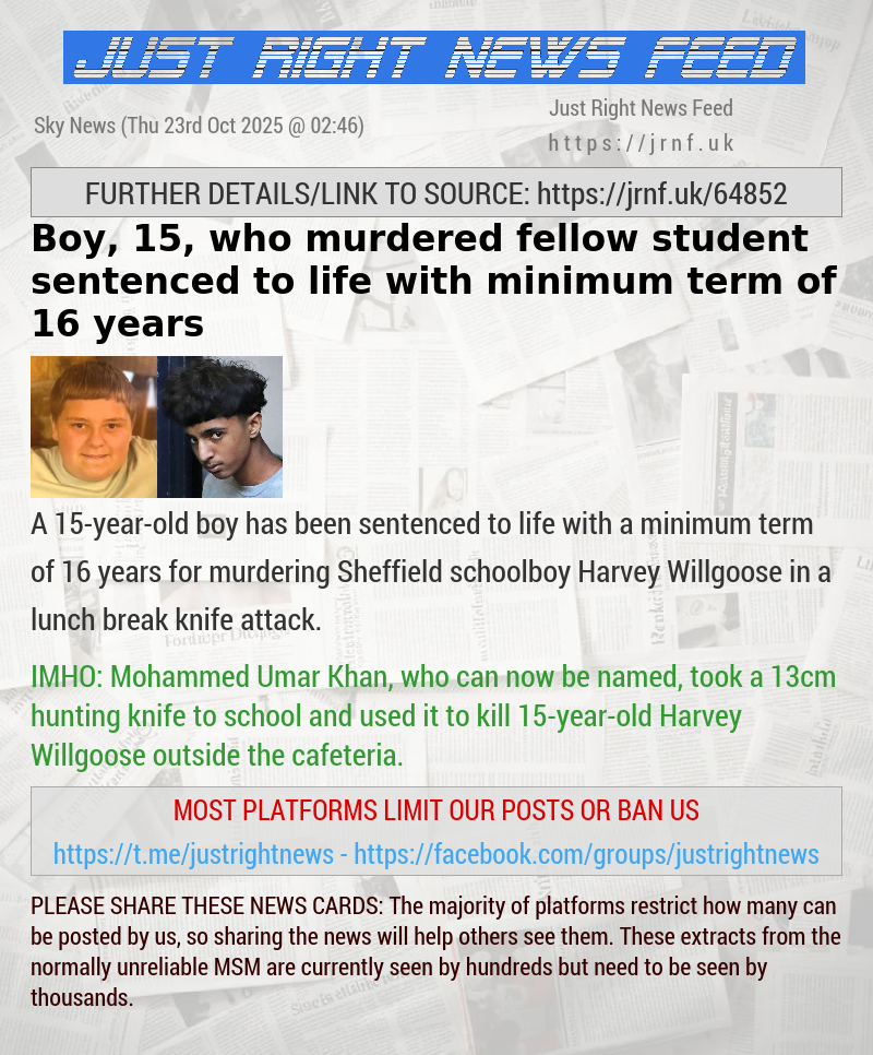 Boy, 15, who murdered fellow student sentenced to life with minimum term of 16 years