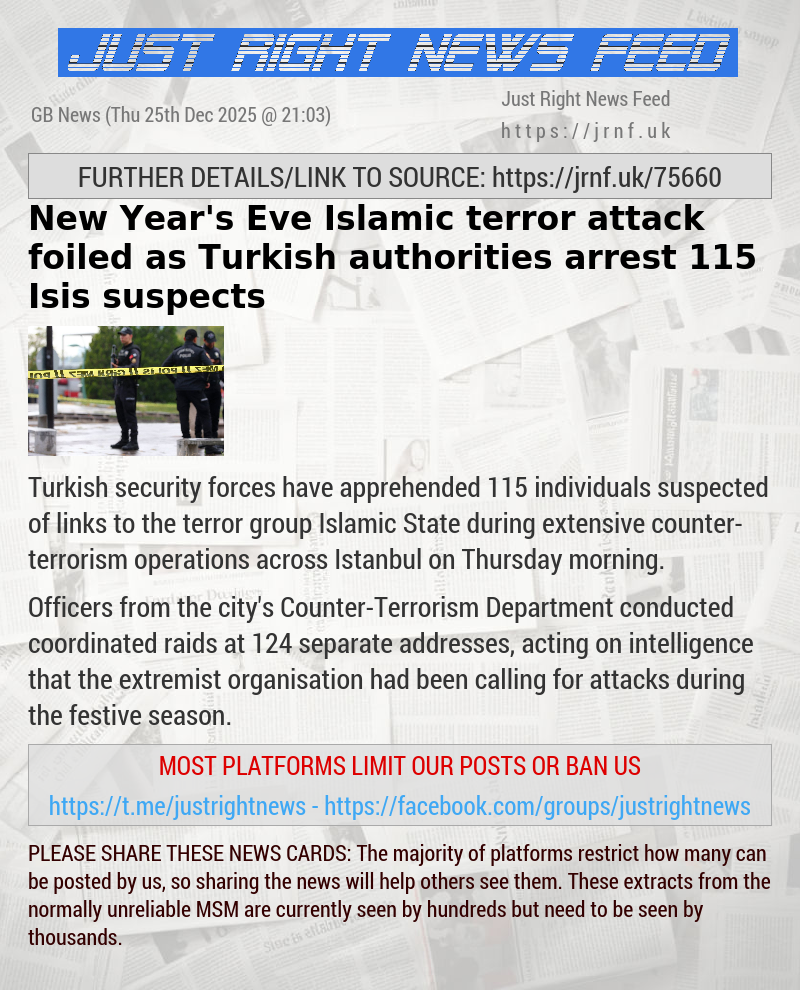 New Year’s Eve Islamic terror attack foiled as Turkish authorities arrest 115 Isis suspects