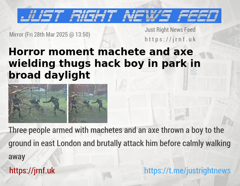 Horror moment machete and axe—wielding thugs hack boy in park in broad daylight