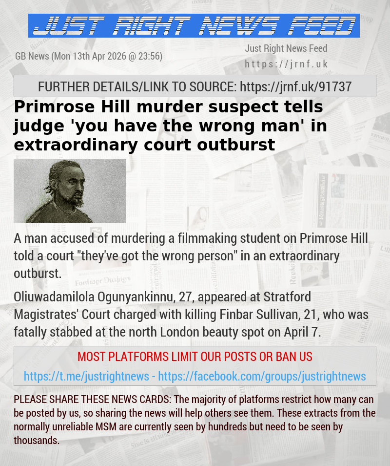 Primrose Hill murder suspect tells judge ’you have the wrong man’ in extraordinary court outburst