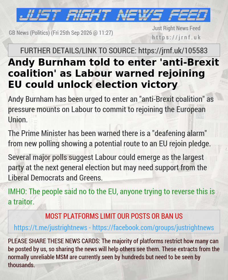 Andy Burnham told to enter ‘anti—Brexit coalition’ as Labour warned rejoining EU could unlock election victory