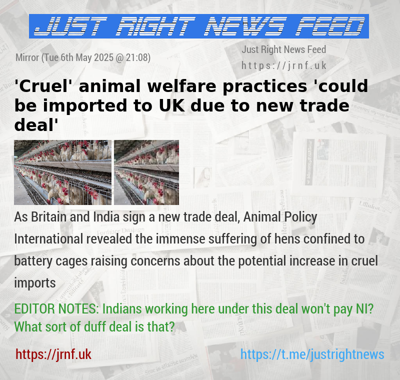 ’Cruel’ animal welfare practices ’could be imported to UK due to new trade deal’