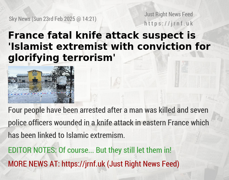 France fatal knife attack suspect is ’Islamist extremist with conviction for glorifying terrorism’