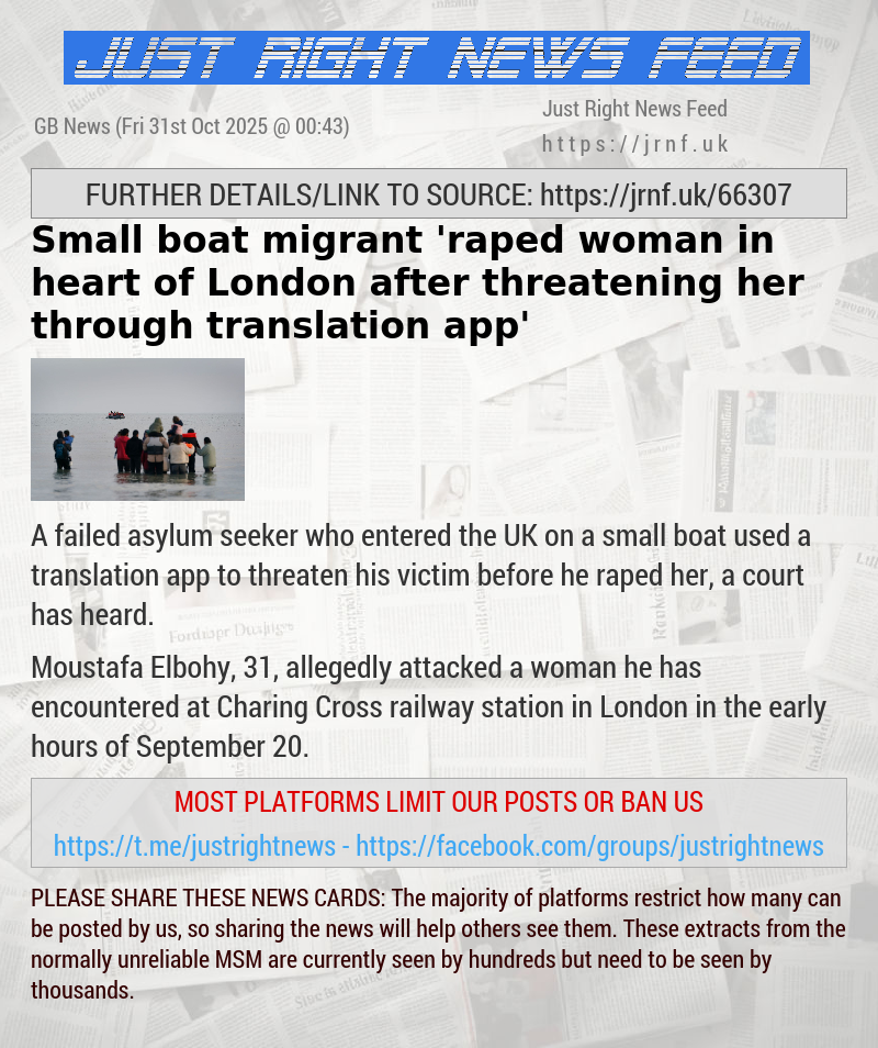 Small boat migrant ’raped woman in heart of London after threatening her through translation app’