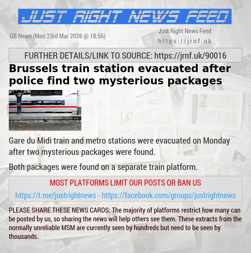 Brussels train station evacuated after police find two mysterious packages