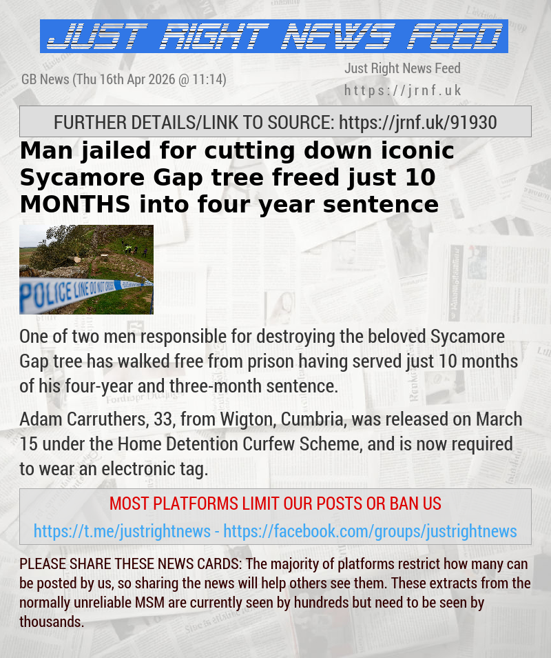 Man jailed for cutting down iconic Sycamore Gap tree freed just 10 MONTHS into four—year sentence