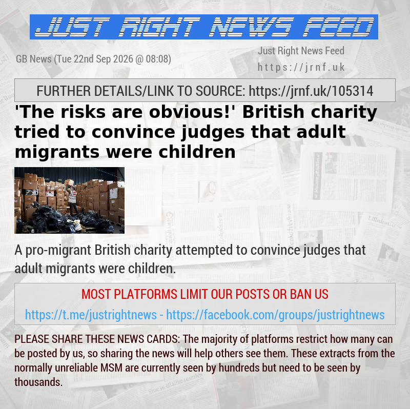 ’The risks are obvious!’ British charity tried to convince judges that adult migrants were children