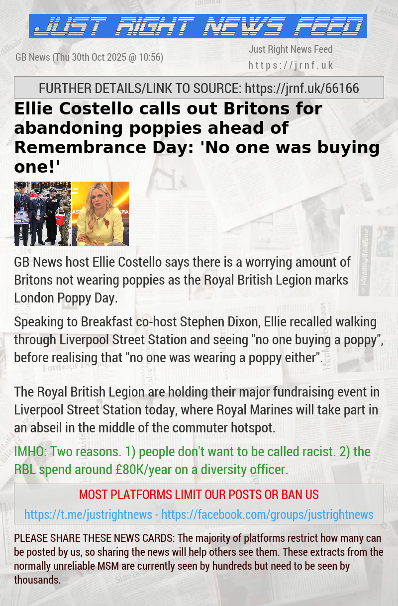 Ellie Costello calls out Britons for abandoning poppies ahead of Remembrance Day: ’No one was buying one!’
