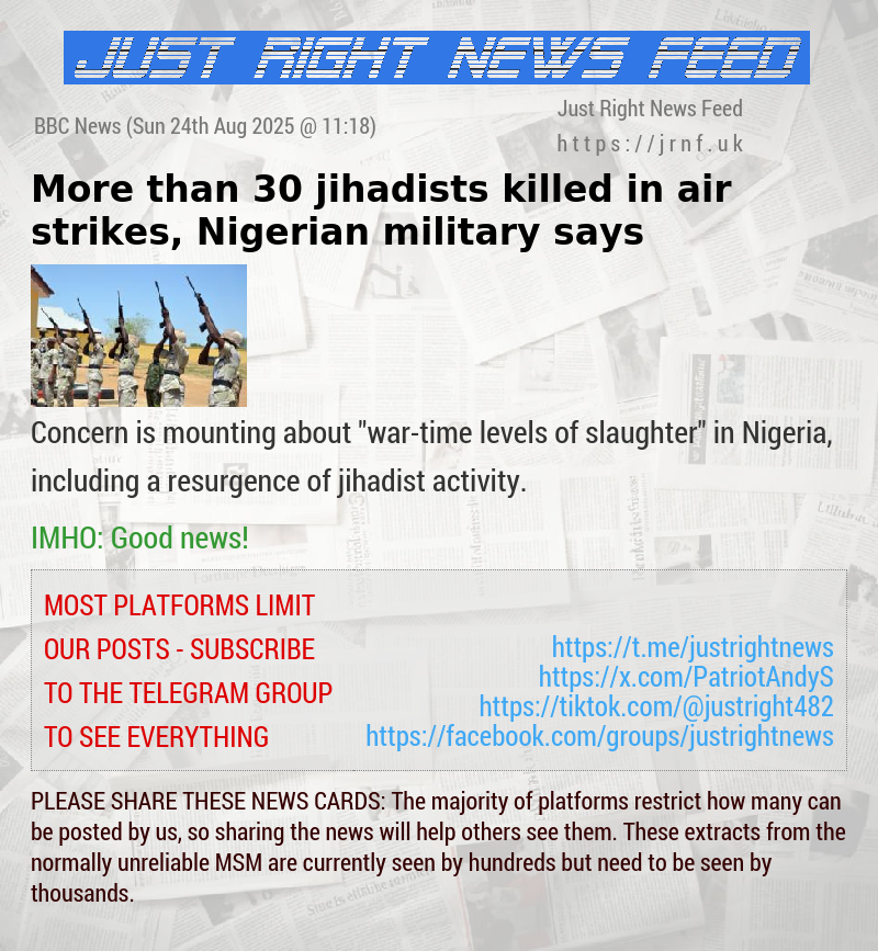 More than 30 jihadists killed in air strikes, Nigerian military says