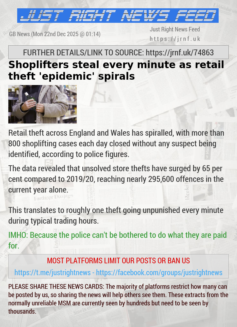 Shoplifters steal every minute as retail theft ‘epidemic’ spirals
