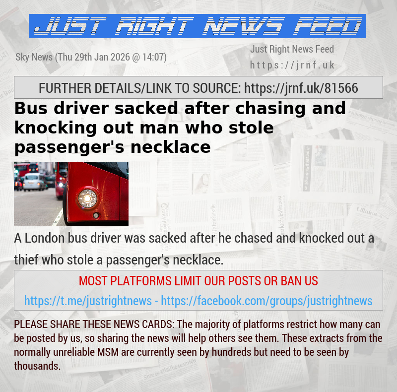 Bus driver sacked after chasing and knocking out man who stole passenger’s necklace