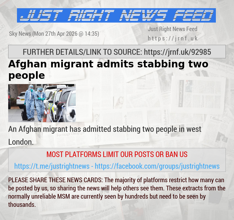 Afghan migrant admits stabbing two people