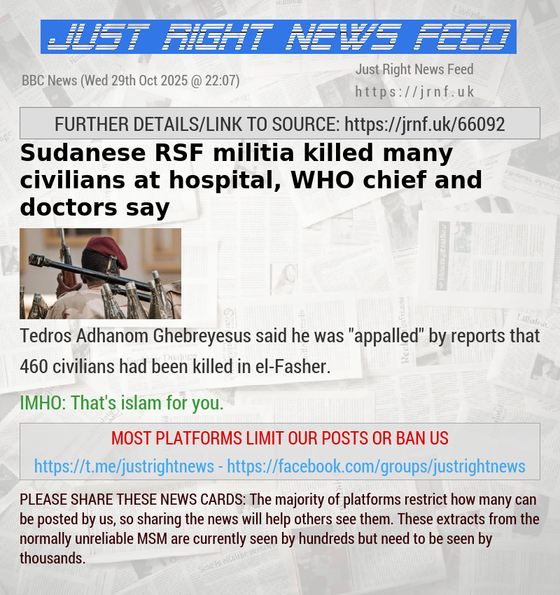 Sudanese RSF militia killed many civilians at hospital, WHO chief and doctors say