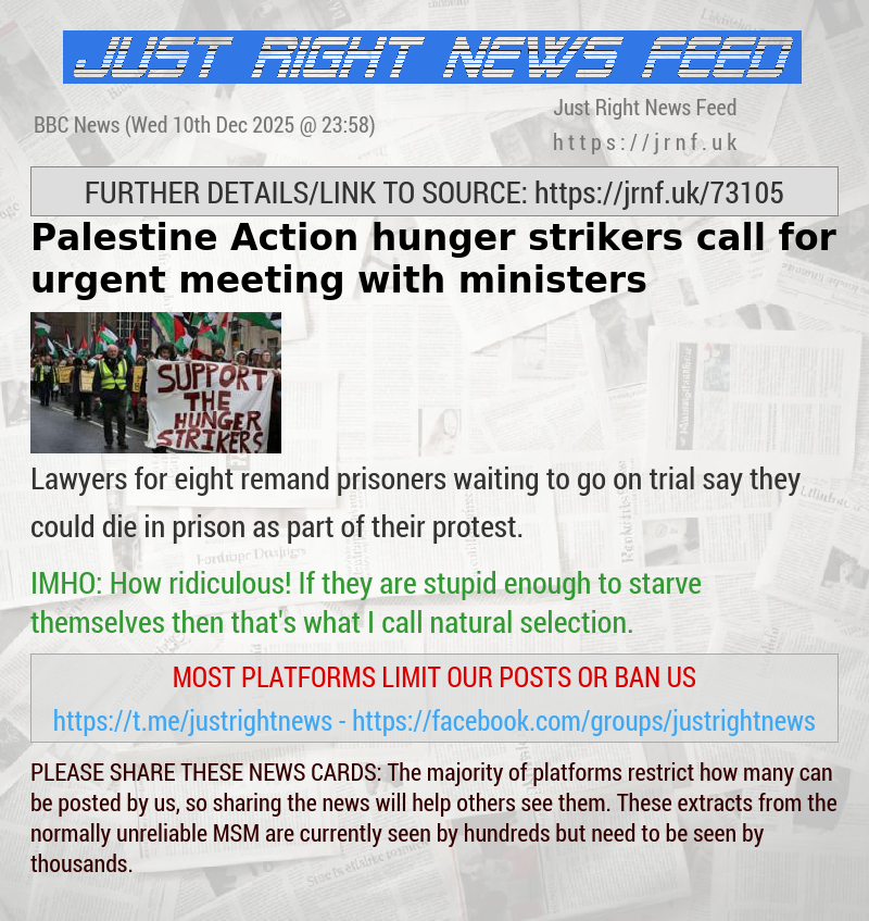 Palestine Action hunger strikers call for urgent meeting with ministers