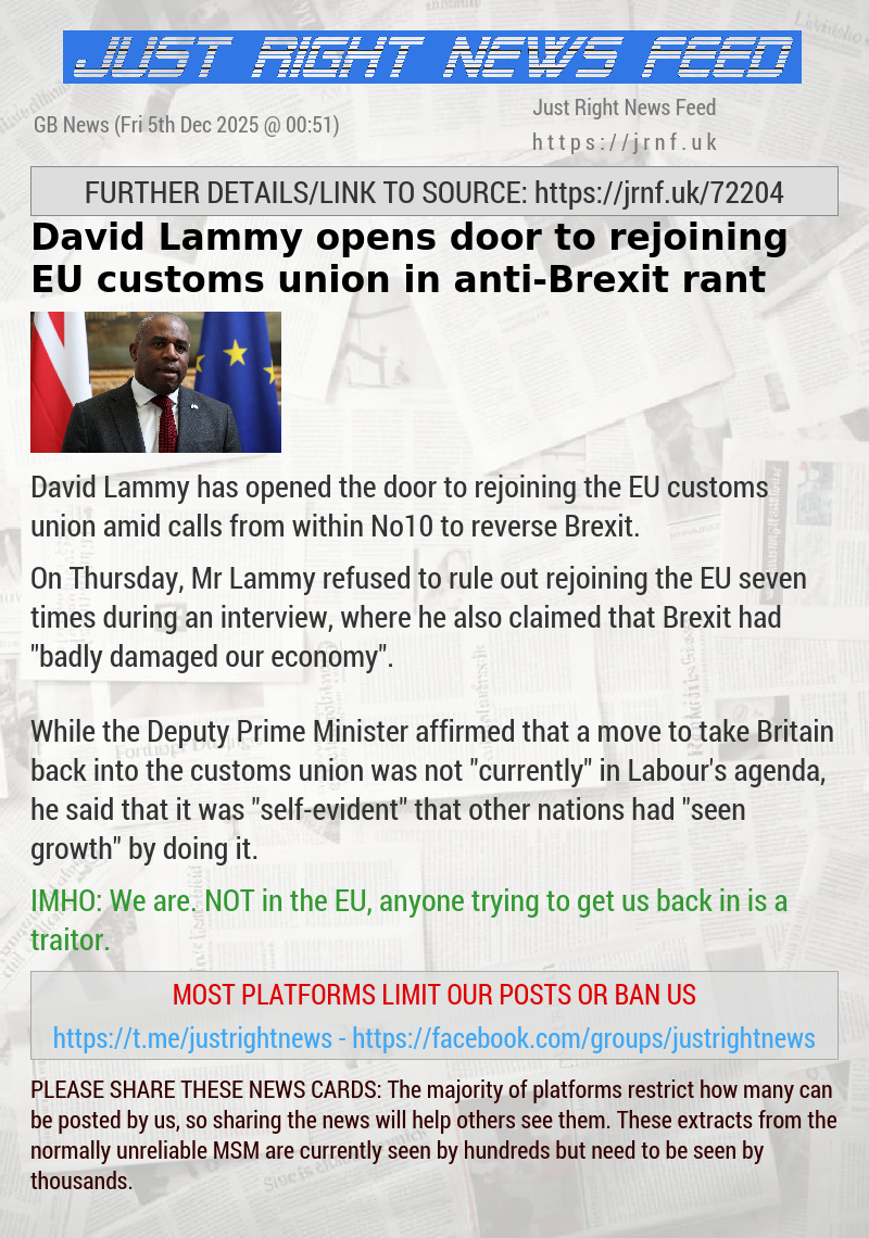 David Lammy opens door to rejoining EU customs union in anti—Brexit rant