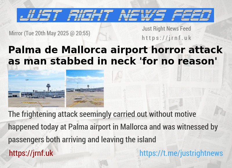 Palma de Mallorca airport horror attack as man stabbed in neck ’for no reason’