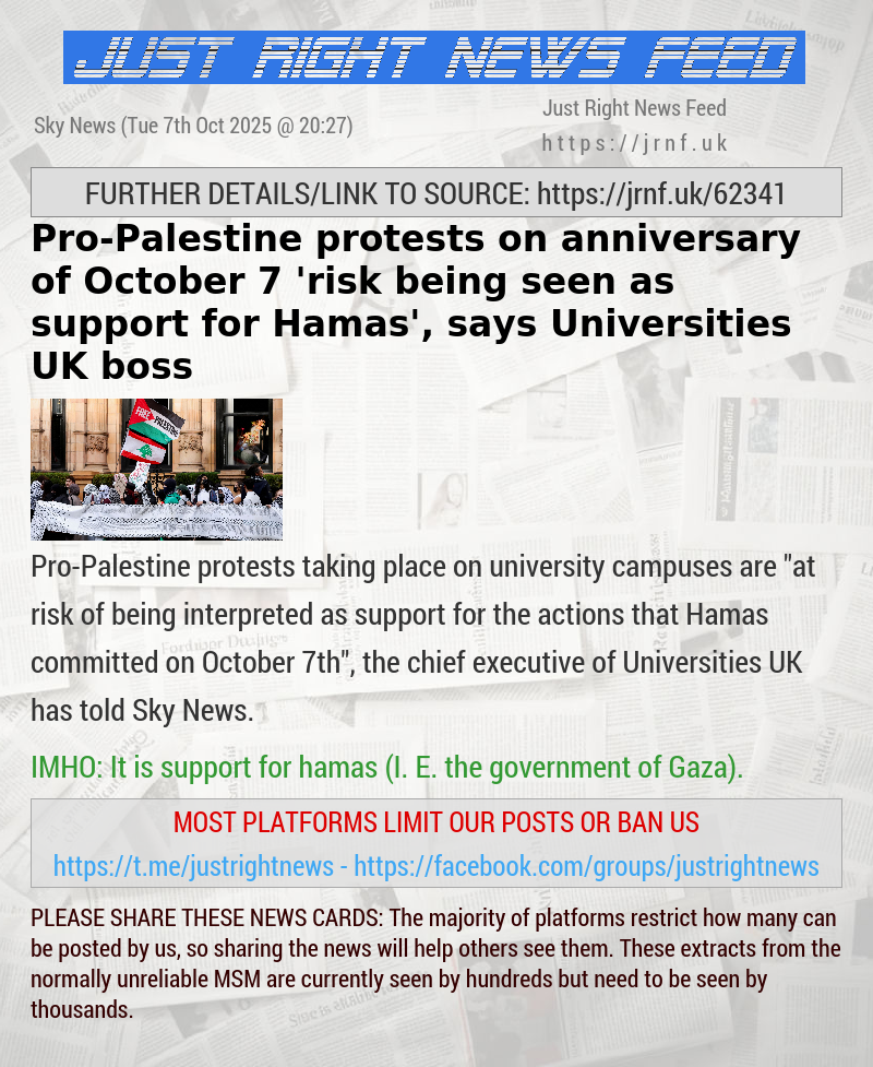 Pro—Palestine protests on anniversary of October 7 ’risk being seen as support for Hamas’, says Universities UK boss