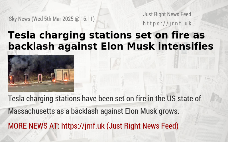 Tesla charging stations set on fire as backlash against Elon Musk intensifies 