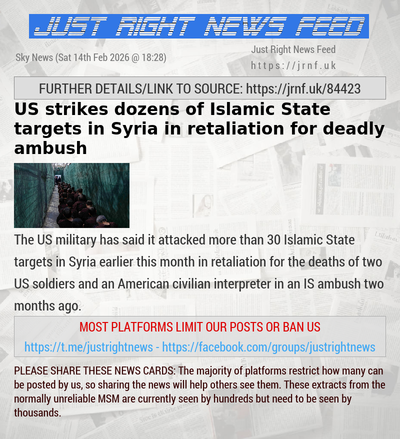 US strikes dozens of Islamic State targets in Syria in retaliation for deadly ambush