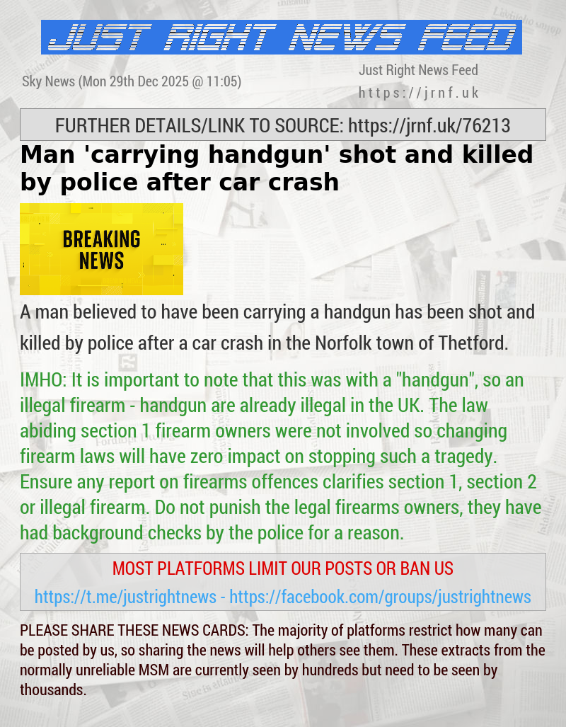 Man ’carrying handgun’ shot and killed by police after car crash