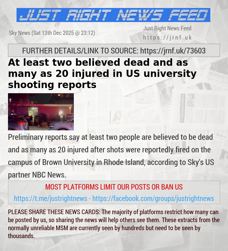 At least two believed dead and as many as 20 injured in US university shooting — reports