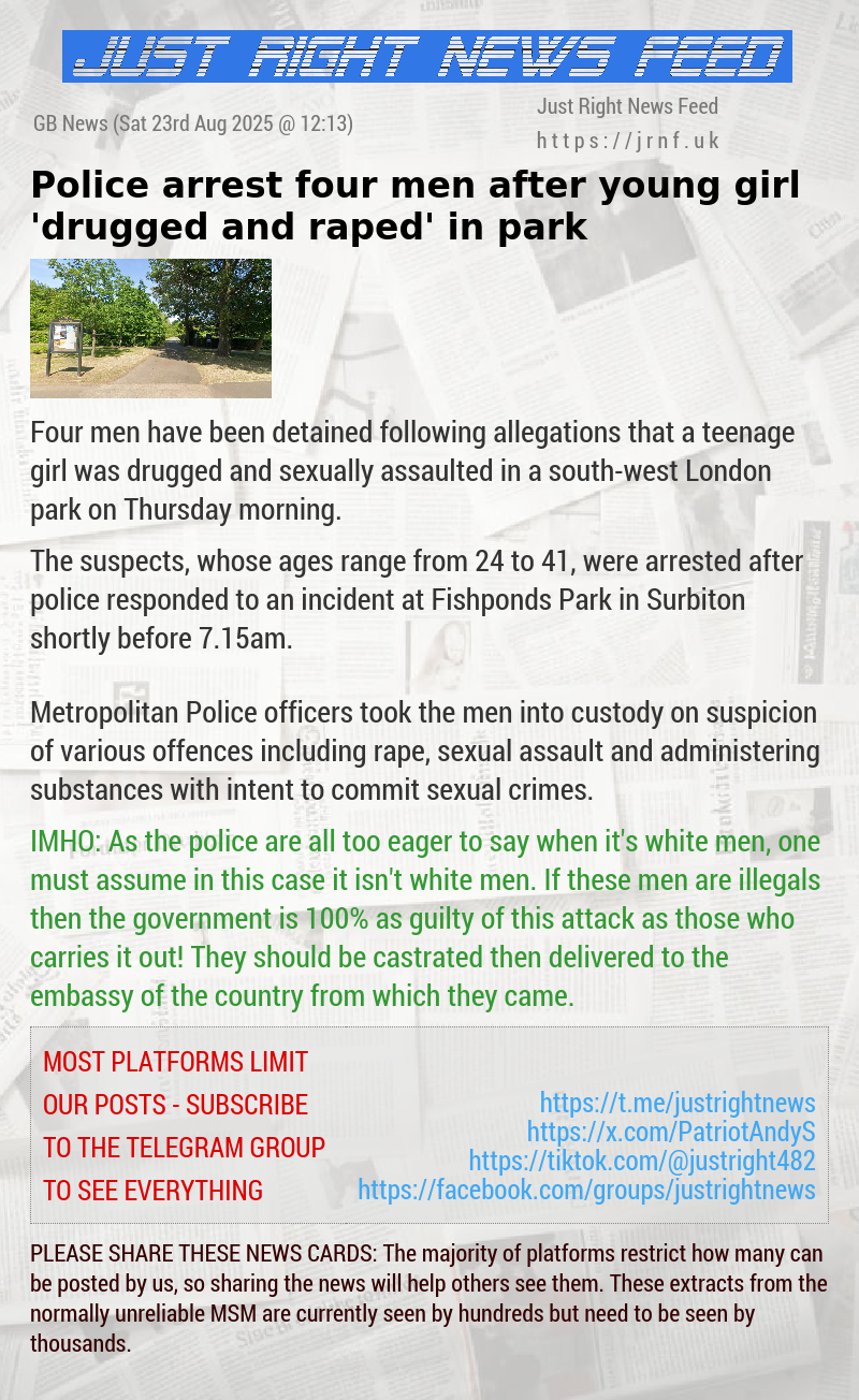 Police arrest four men after young girl ’drugged and raped’ in park