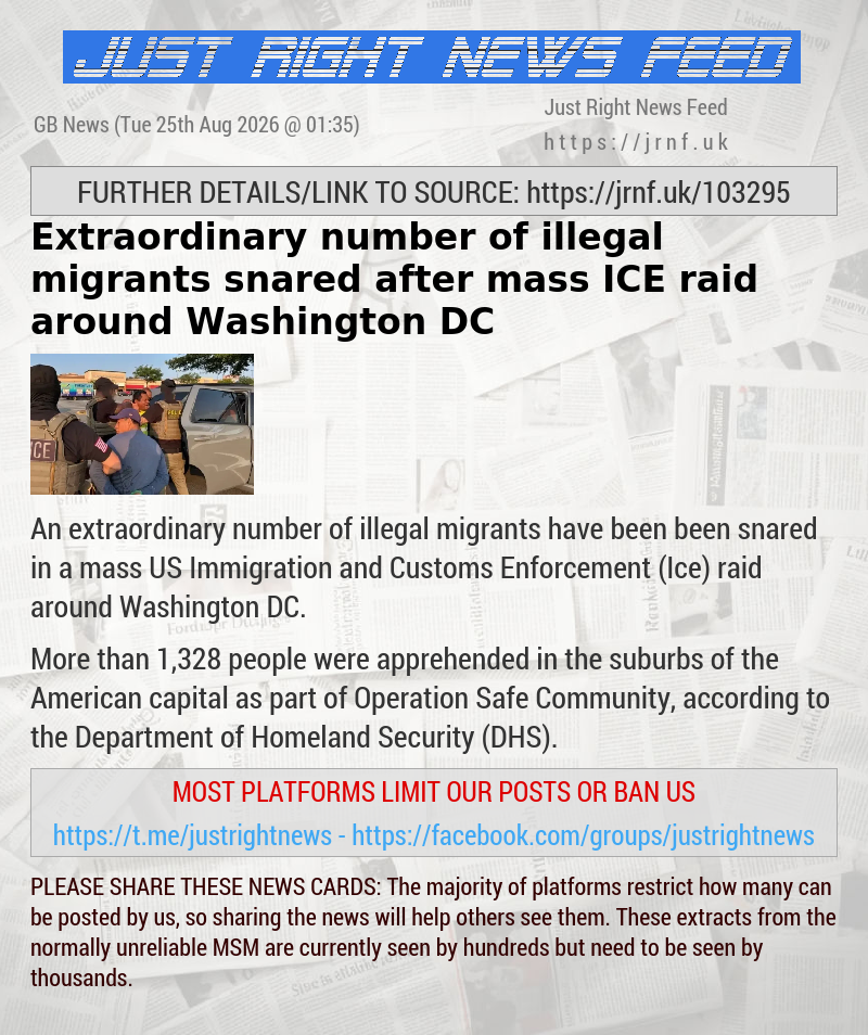 Extraordinary number of illegal migrants snared after mass ICE raid around Washington DC