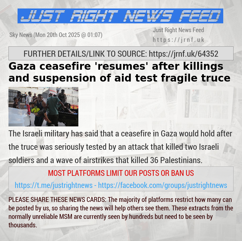 Gaza ceasefire ’resumes’ after killings and suspension of aid test fragile truce