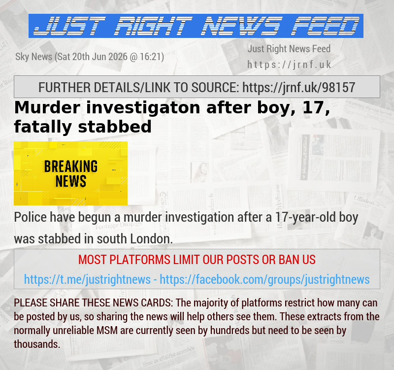 Murder investigaton after boy, 17, fatally stabbed 