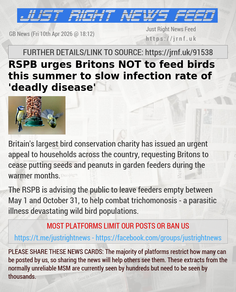 RSPB urges Britons NOT to feed birds this summer to slow infection rate of ’deadly disease’