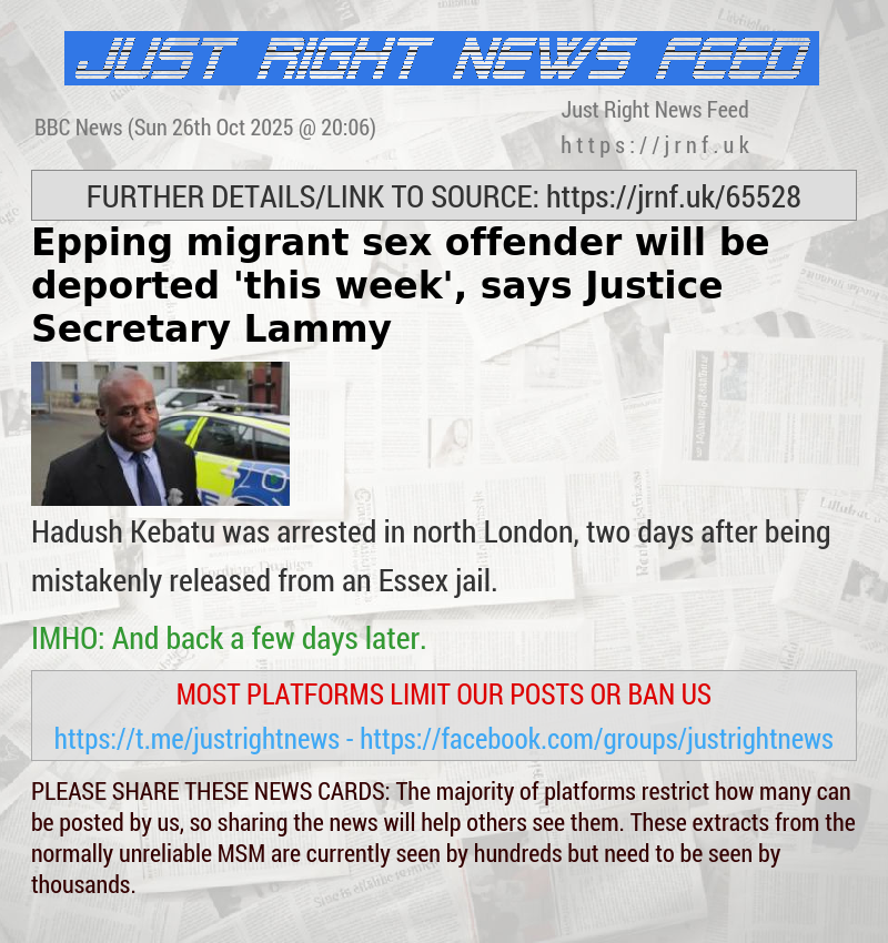 Epping migrant sex offender will be deported ’this week’, says Justice Secretary Lammy