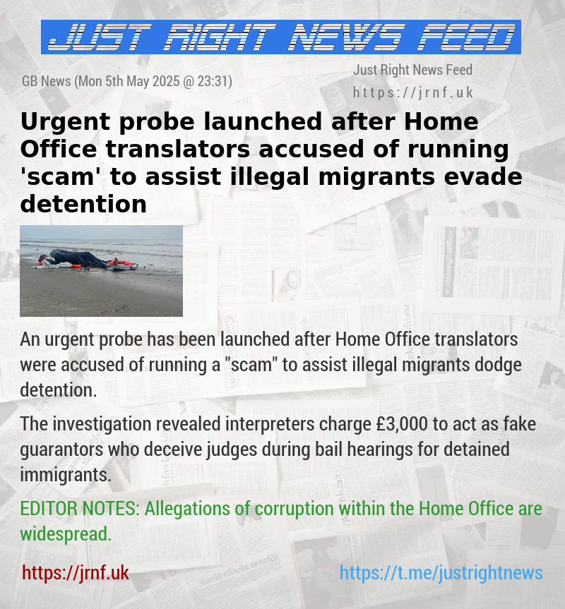 Urgent probe launched after Home Office translators accused of running ’scam’ to assist illegal migrants evade detention