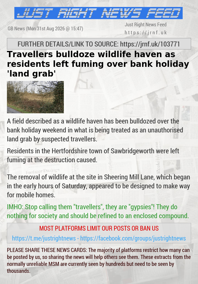 Travellers bulldoze wildlife haven as residents left fuming over bank holiday ’land grab’