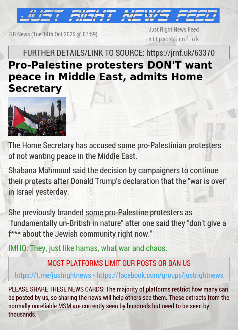 Pro—Palestine protesters DON’T want peace in Middle East, admits Home Secretary