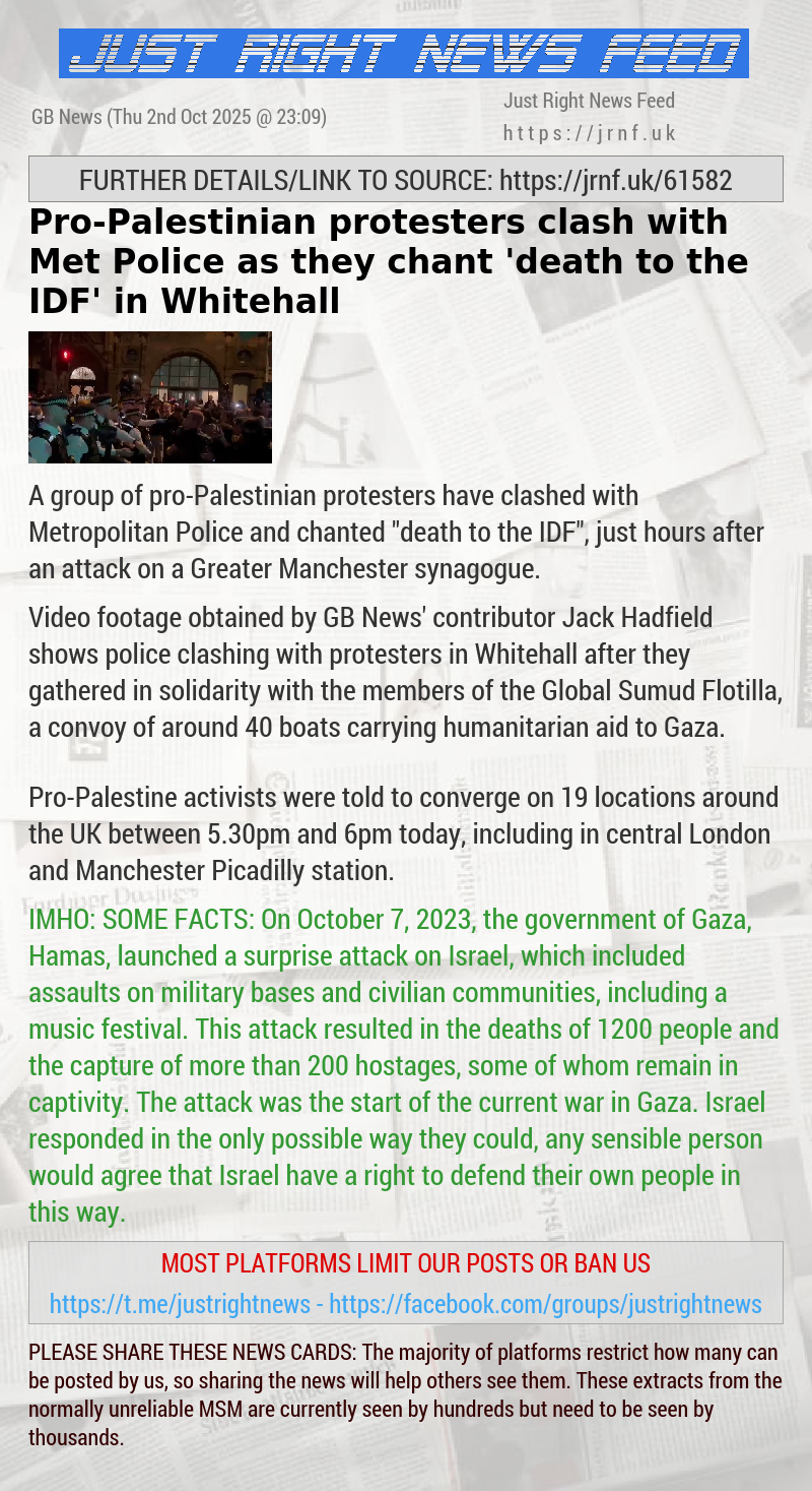 Pro—Palestinian protesters clash with Met Police as they chant ’death to the IDF’ in Whitehall