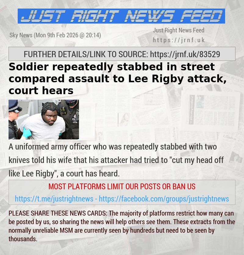 Soldier repeatedly stabbed in street compared assault to Lee Rigby attack, court hears