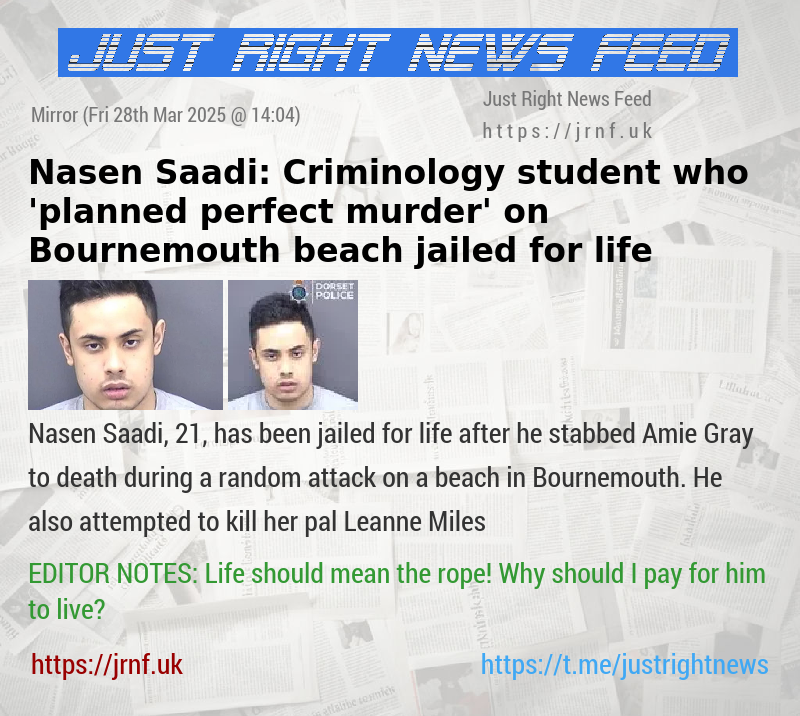 Nasen Saadi: Criminology student who ’planned perfect murder’ on  Bournemouth beach jailed for life
