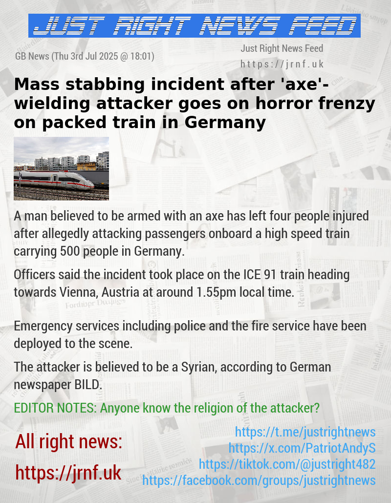 Mass stabbing incident after ’axe’—wielding attacker goes on horror frenzy on packed train in Germany