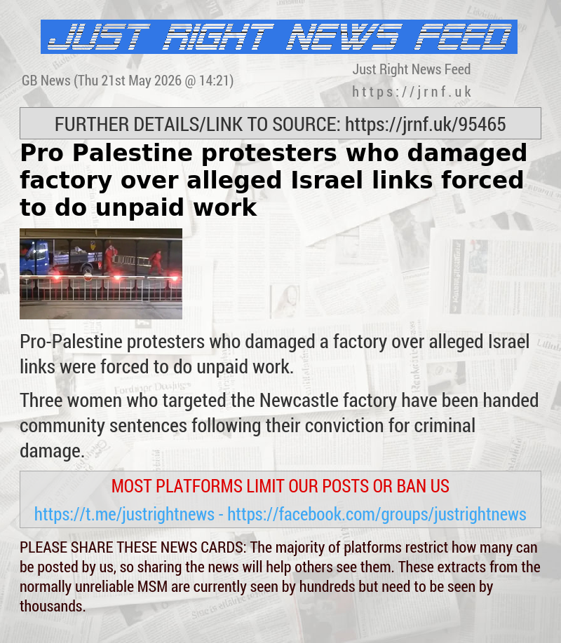 Pro—Palestine protesters who damaged factory over alleged Israel links forced to do unpaid work