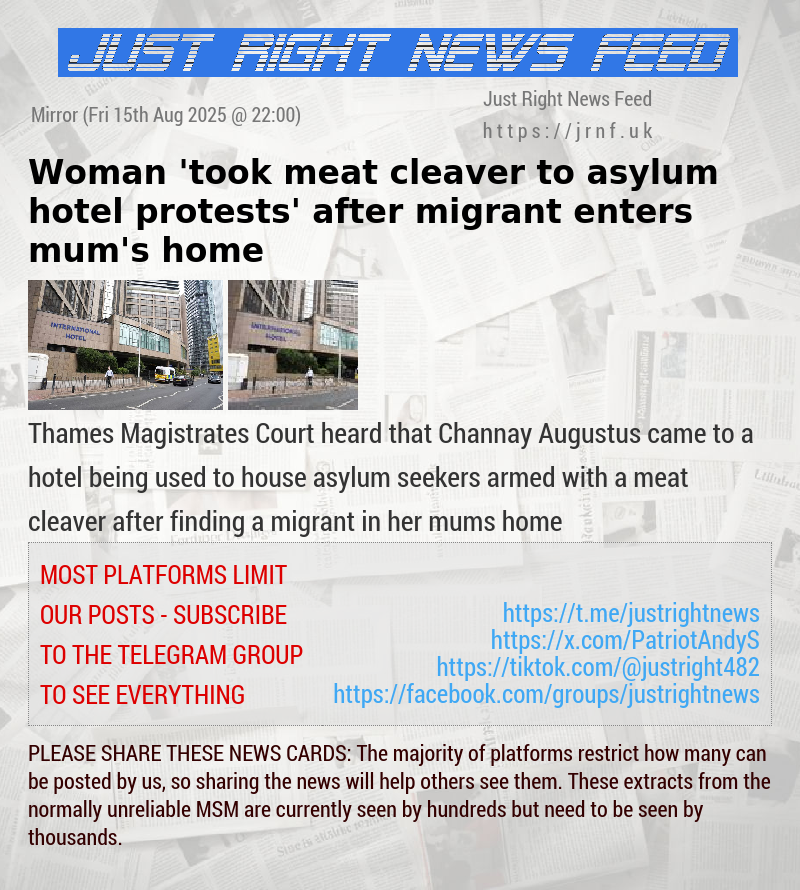Woman ’took meat cleaver to asylum hotel protests’ after migrant enters mum’s home