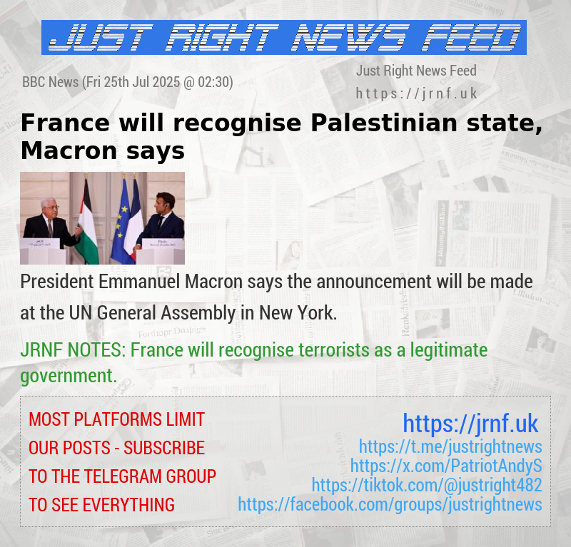 France will recognise Palestinian state, Macron says