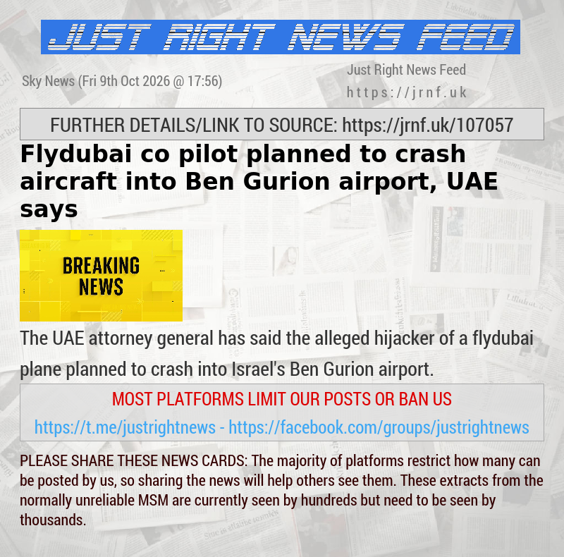 Flydubai co—pilot planned to crash aircraft into Ben Gurion airport, UAE says