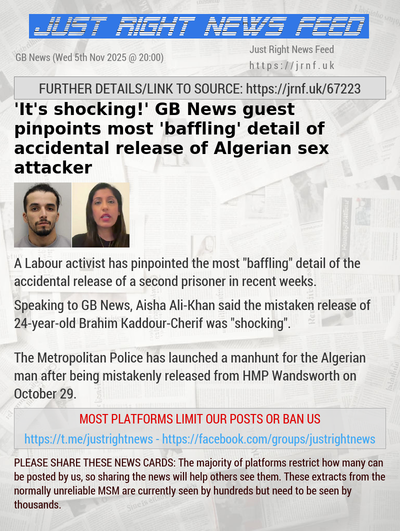 ’It’s shocking!’ GB News guest pinpoints most ’baffling’ detail of accidental release of Algerian sex attacker